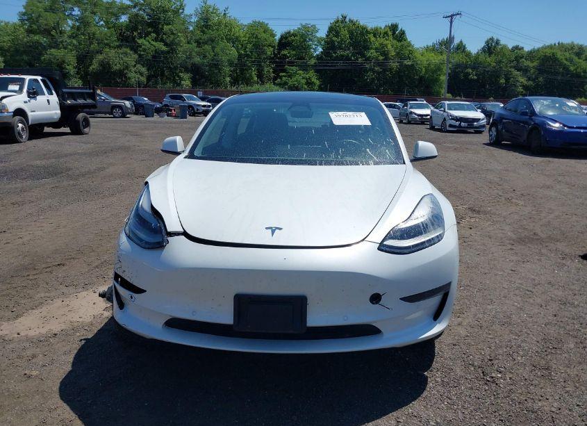 Photo 12 of 2021 Tesla Model 3 STANDARD RANGE PLUS REAR-WHEEL DRIVE (VIN 5YJ3E1EA5MF085107)
