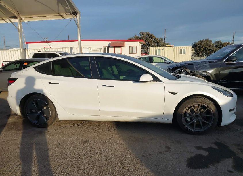 Photo 14 of 2021 Tesla Model 3 STANDARD RANGE PLUS REAR-WHEEL DRIVE (VIN 5YJ3E1EA5MF858898)