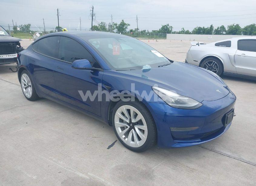 2021 Tesla Model 3 STANDARD RANGE PLUS REAR-WHEEL DRIVE (VIN 5YJ3E1EA5MF920719) main photo