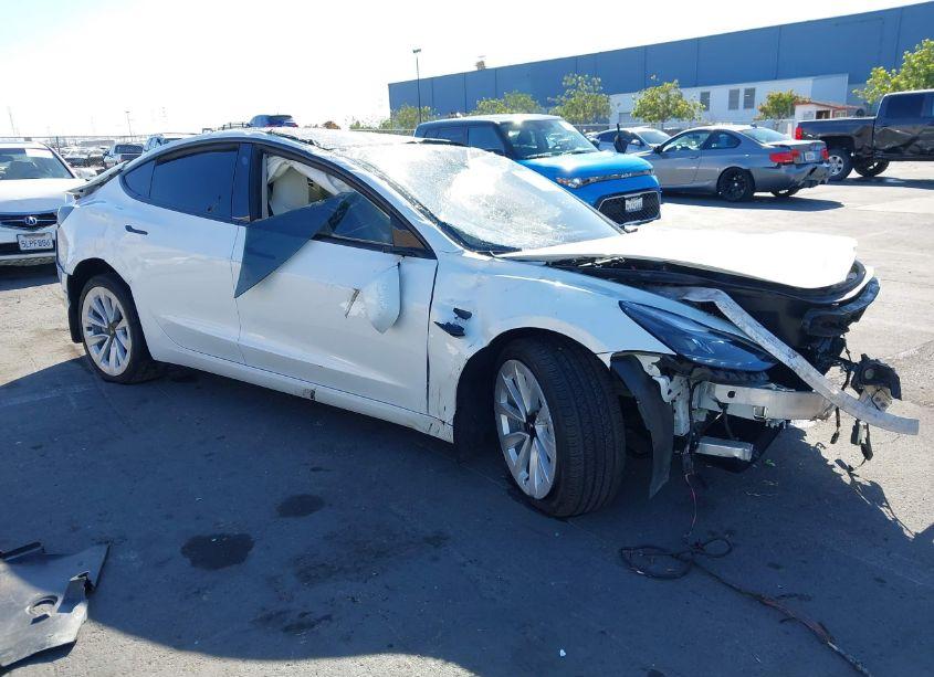 2023 Tesla Model 3 REAR-WHEEL DRIVE (VIN 5YJ3E1EA5PF496317) main photo