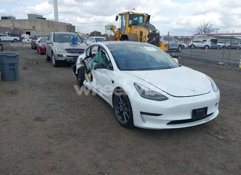 2023 Tesla Model 3 REAR-WHEEL DRIVE (VIN 5YJ3E1EA5PF510135) main photo
