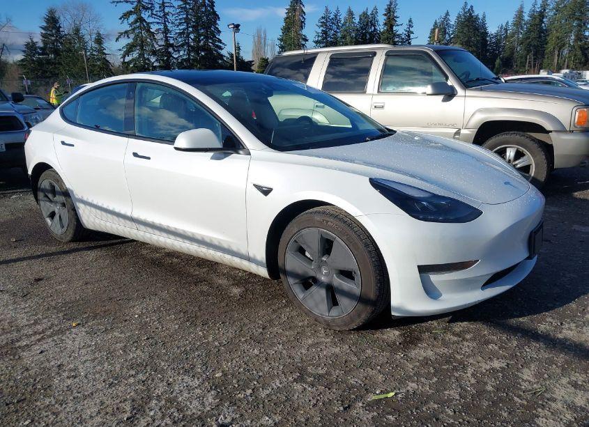 2023 Tesla Model 3 REAR-WHEEL DRIVE (VIN 5YJ3E1EA5PF575714) main photo