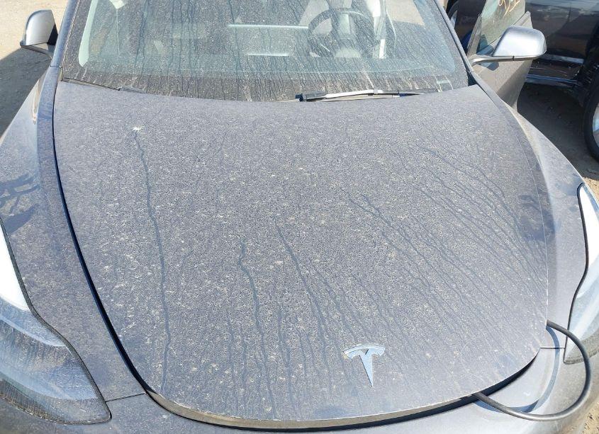 Photo 10 of 2023 Tesla Model 3 REAR-WHEEL DRIVE (VIN 5YJ3E1EA5PF601468)