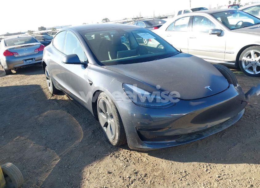 2023 Tesla Model 3 REAR-WHEEL DRIVE (VIN 5YJ3E1EA5PF621736) main photo
