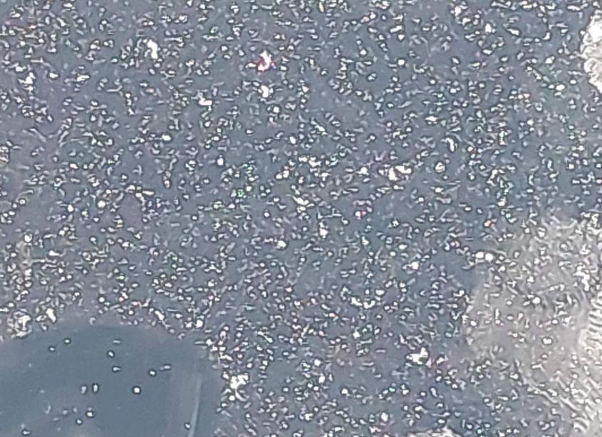 Photo 16 of 2024 Tesla Model 3 REAR-WHEEL DRIVE (VIN 5YJ3E1EA5RF735545)