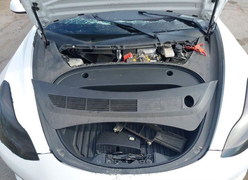 Photo 10 of 2020 Tesla Model 3 STANDARD RANGE PLUS REAR-WHEEL DRIVE/STANDARD RANGE REAR-WHEEL DRIVE (VIN 5YJ3E1EA6LF706224)