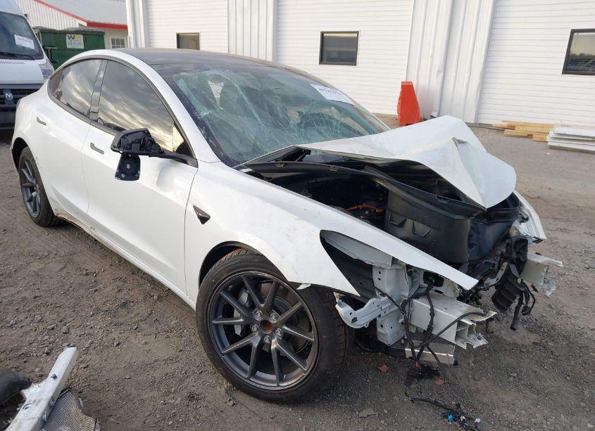 2021 Tesla Model 3 STANDARD RANGE PLUS REAR-WHEEL DRIVE (VIN 5YJ3E1EA6MF047773) main photo