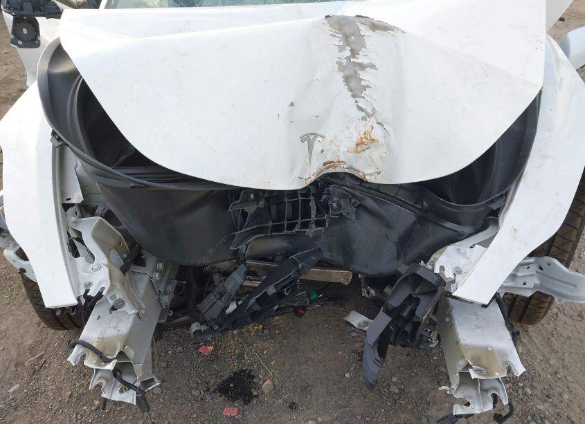 Photo 5 of 2021 Tesla Model 3 STANDARD RANGE PLUS REAR-WHEEL DRIVE (VIN 5YJ3E1EA6MF047773)