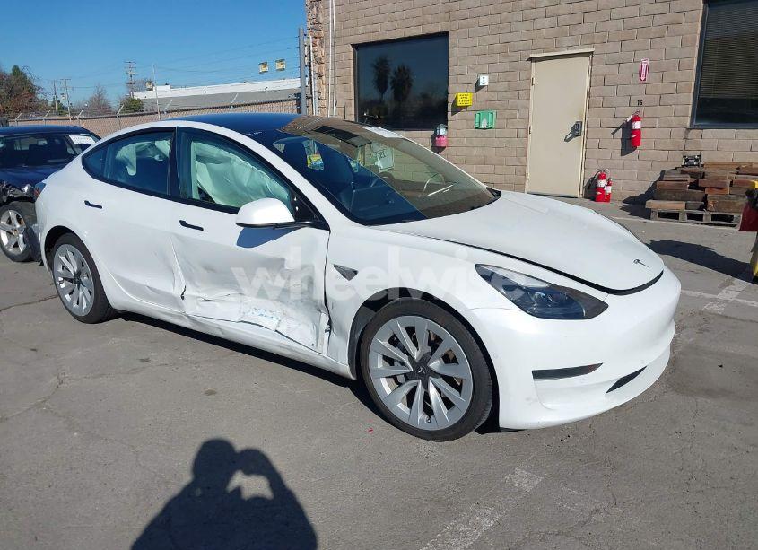 2021 Tesla Model 3 STANDARD RANGE PLUS REAR-WHEEL DRIVE (VIN 5YJ3E1EA6MF077582) main photo
