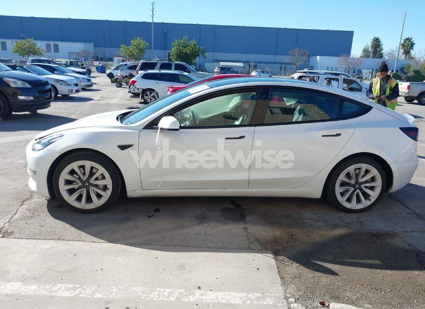 Photo 14 of 2021 Tesla Model 3 STANDARD RANGE PLUS REAR-WHEEL DRIVE (VIN 5YJ3E1EA6MF077582)