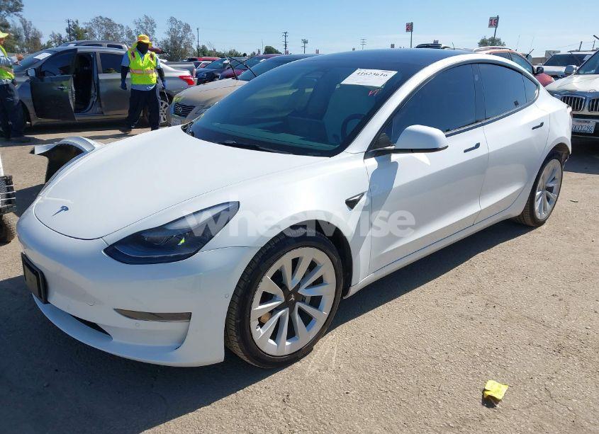 Photo 2 of 2022 Tesla Model 3 REAR-WHEEL DRIVE (VIN 5YJ3E1EA6NF130895)