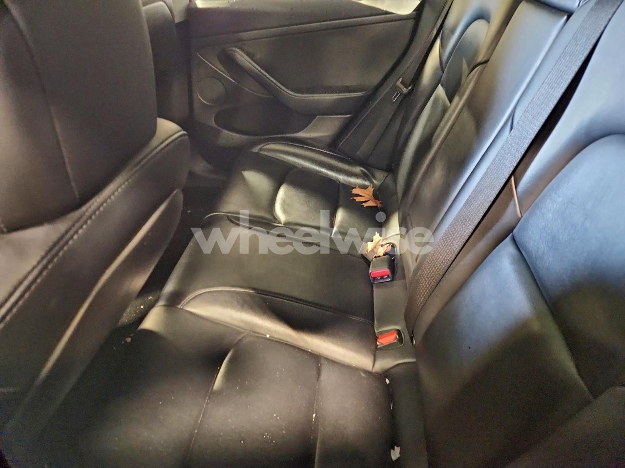 Photo 10 of 2022 TESLA MODEL 3 (VIN 5YJ3E1EA6NF372411)