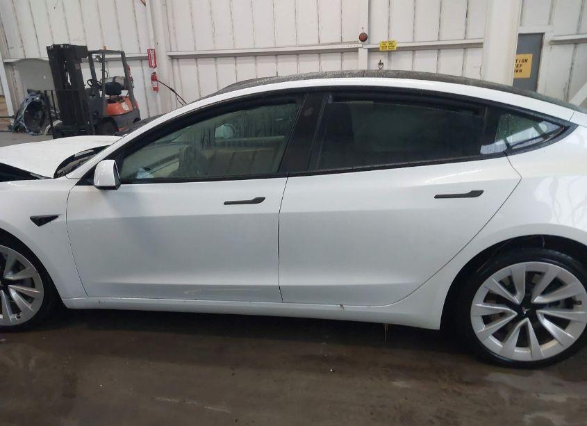 Photo 15 of 2023 Tesla Model 3 REAR-WHEEL DRIVE (VIN 5YJ3E1EA6PF435767)