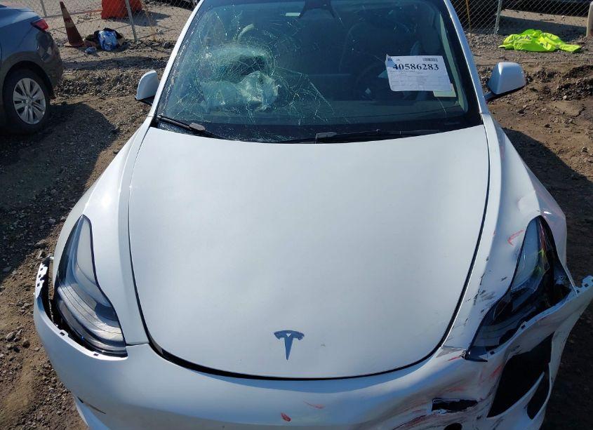 Photo 12 of 2023 Tesla Model 3 REAR-WHEEL DRIVE (VIN 5YJ3E1EA6PF446879)