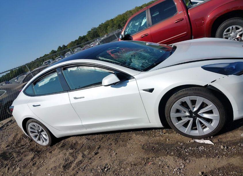 Photo 13 of 2023 Tesla Model 3 REAR-WHEEL DRIVE (VIN 5YJ3E1EA6PF446879)