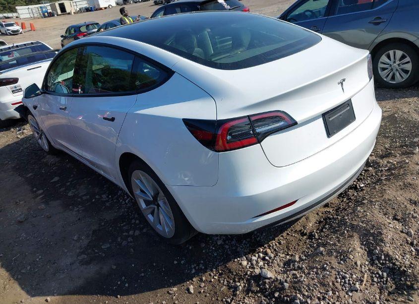 Photo 3 of 2023 Tesla Model 3 REAR-WHEEL DRIVE (VIN 5YJ3E1EA6PF446879)