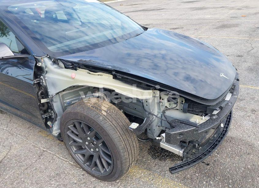 Photo 6 of 2025 Tesla Model 3 LONG RANGE REAR-WHEEL DRIVE (VIN 5YJ3E1EA6SF933721)