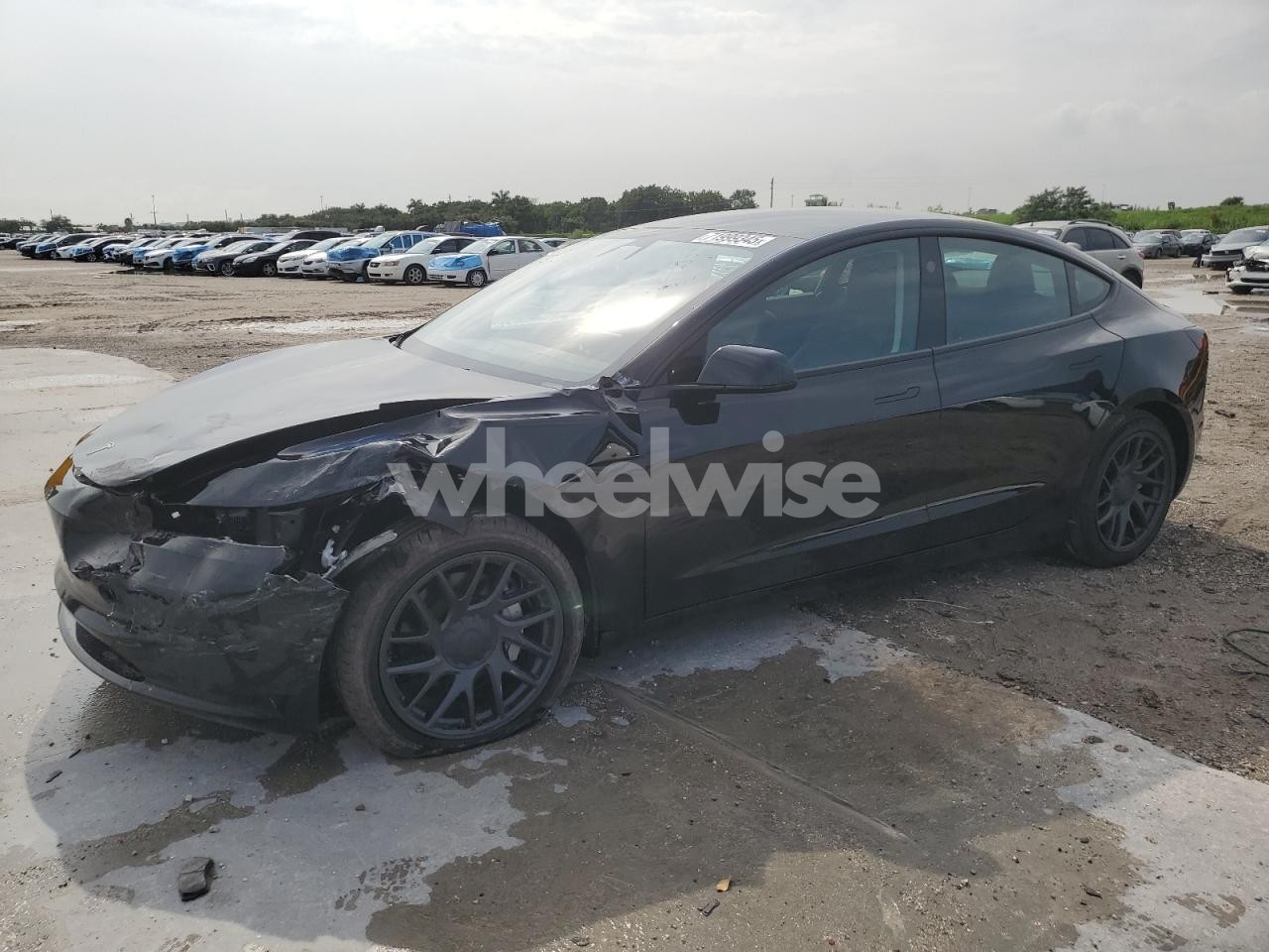 2025 TESLA MODEL 3 (VIN 5YJ3E1EA6SF969568) main photo