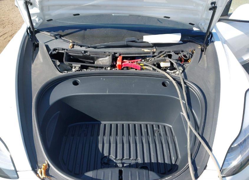 Photo 10 of 2021 Tesla Model 3 STANDARD RANGE PLUS REAR-WHEEL DRIVE (VIN 5YJ3E1EA7MF851631)