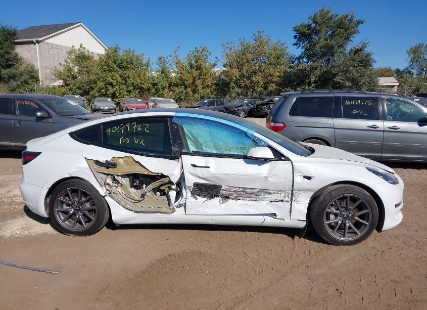 Photo 13 of 2021 Tesla Model 3 STANDARD RANGE PLUS REAR-WHEEL DRIVE (VIN 5YJ3E1EA7MF851631)