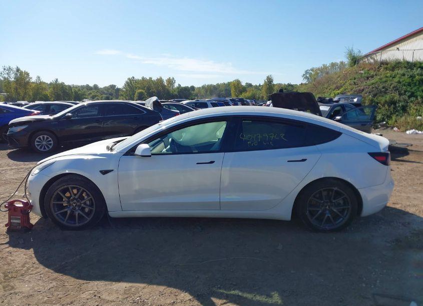Photo 14 of 2021 Tesla Model 3 STANDARD RANGE PLUS REAR-WHEEL DRIVE (VIN 5YJ3E1EA7MF851631)