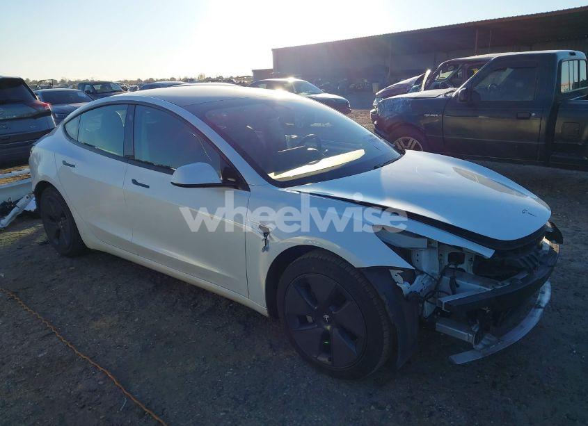 2021 Tesla Model 3 STANDARD RANGE PLUS REAR-WHEEL DRIVE (VIN 5YJ3E1EA7MF861009) main photo