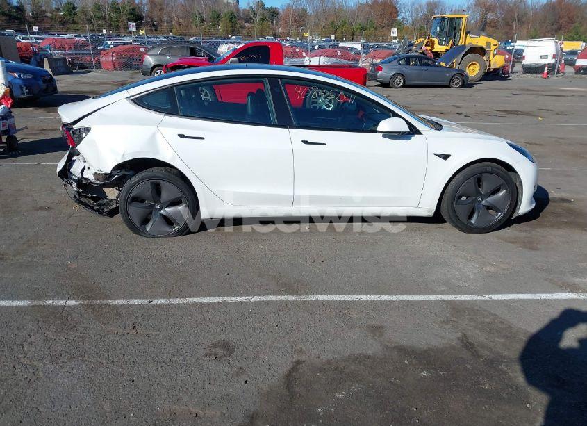 Photo 13 of 2021 Tesla Model 3 STANDARD RANGE PLUS REAR-WHEEL DRIVE (VIN 5YJ3E1EA7MF991548)