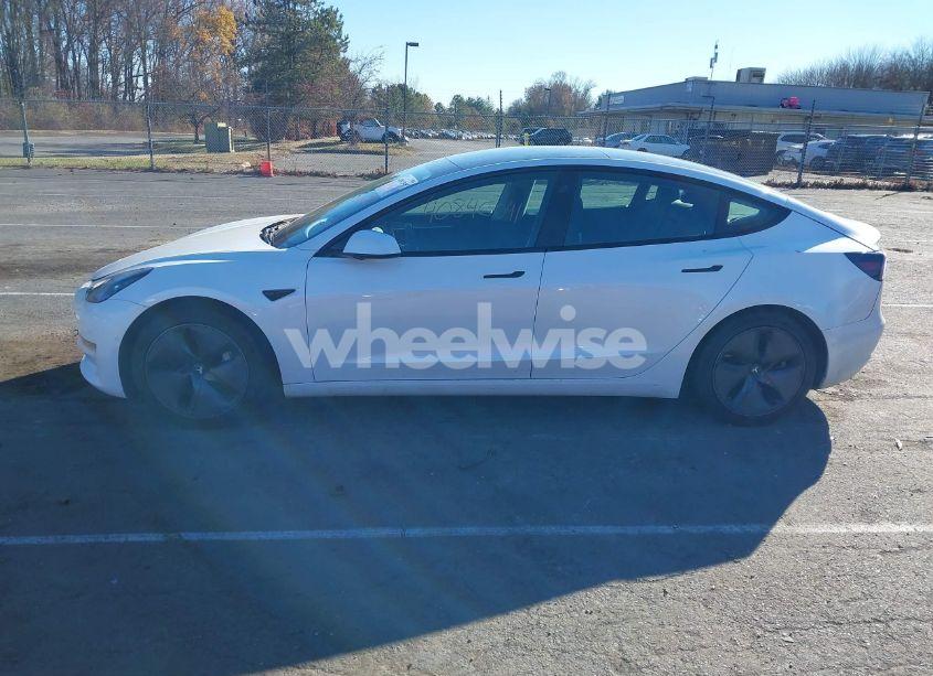 Photo 14 of 2021 Tesla Model 3 STANDARD RANGE PLUS REAR-WHEEL DRIVE (VIN 5YJ3E1EA7MF991548)