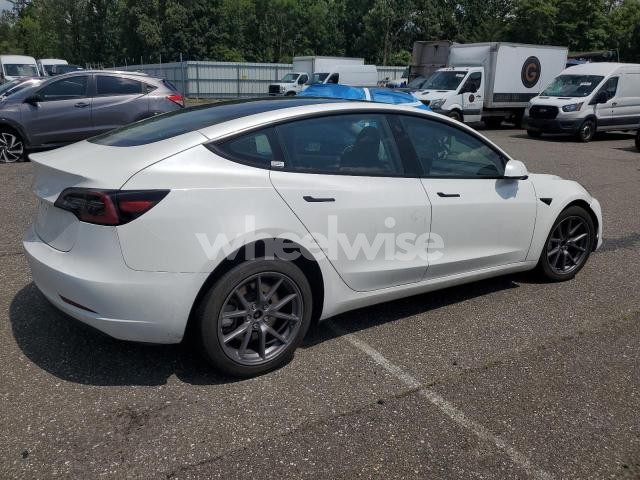 2023 TESLA MODEL 3 (VIN 5YJ3E1EA7PF490972) main photo