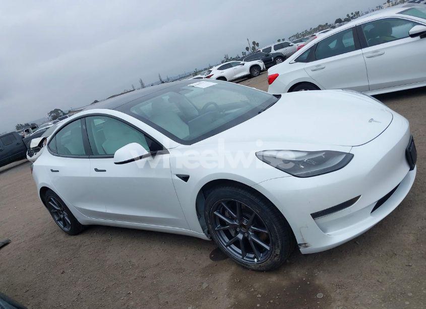 Photo 13 of 2021 Tesla Model 3 STANDARD RANGE PLUS REAR-WHEEL DRIVE (VIN 5YJ3E1EA8MF029419)