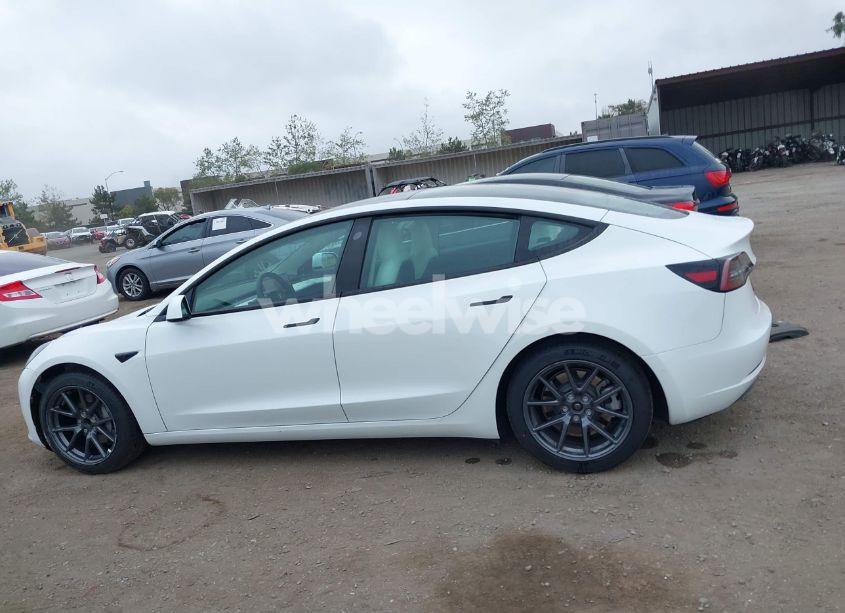 Photo 14 of 2021 Tesla Model 3 STANDARD RANGE PLUS REAR-WHEEL DRIVE (VIN 5YJ3E1EA8MF029419)