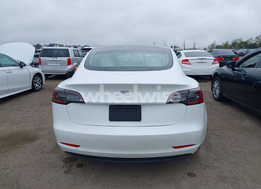 Photo 16 of 2021 Tesla Model 3 STANDARD RANGE PLUS REAR-WHEEL DRIVE (VIN 5YJ3E1EA8MF029419)