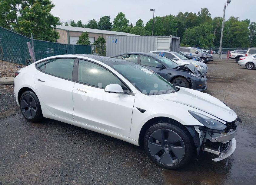 2021 Tesla Model 3 STANDARD RANGE PLUS REAR-WHEEL DRIVE (VIN 5YJ3E1EA8MF062940) main photo