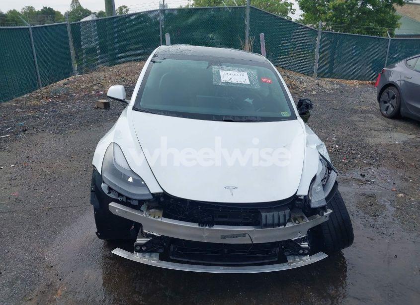 Photo 13 of 2021 Tesla Model 3 STANDARD RANGE PLUS REAR-WHEEL DRIVE (VIN 5YJ3E1EA8MF062940)