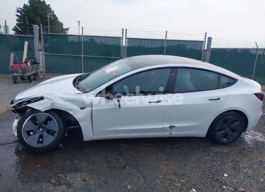 Photo 15 of 2021 Tesla Model 3 STANDARD RANGE PLUS REAR-WHEEL DRIVE (VIN 5YJ3E1EA8MF062940)