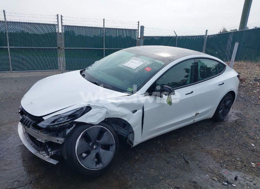 Photo 2 of 2021 Tesla Model 3 STANDARD RANGE PLUS REAR-WHEEL DRIVE (VIN 5YJ3E1EA8MF062940)