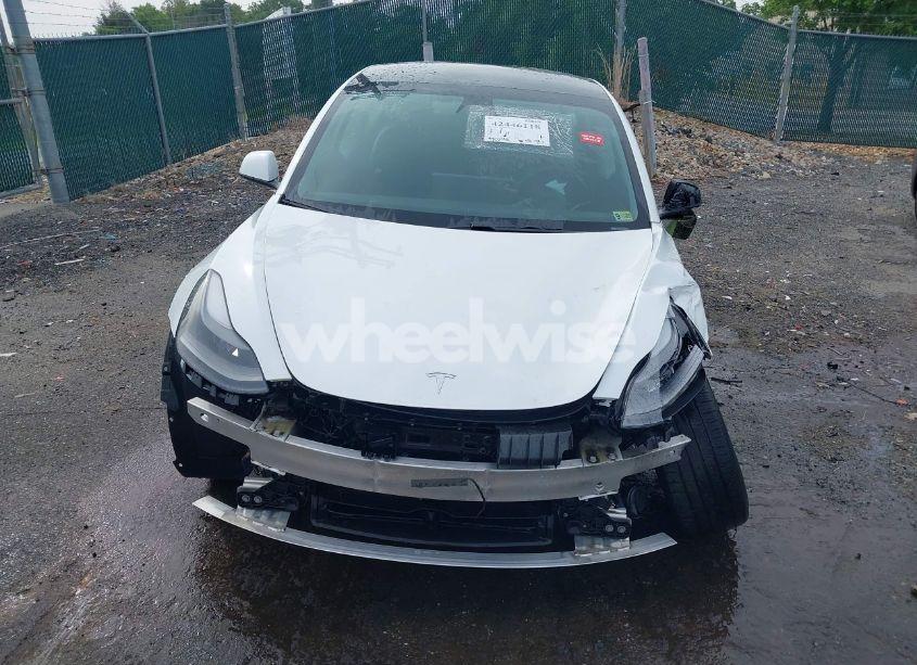 Photo 20 of 2021 Tesla Model 3 STANDARD RANGE PLUS REAR-WHEEL DRIVE (VIN 5YJ3E1EA8MF062940)