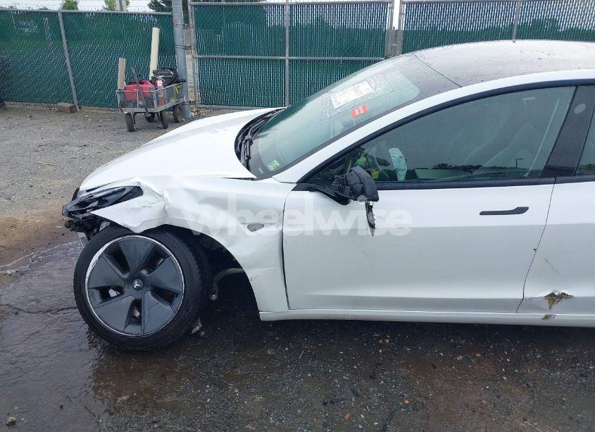 Photo 6 of 2021 Tesla Model 3 STANDARD RANGE PLUS REAR-WHEEL DRIVE (VIN 5YJ3E1EA8MF062940)