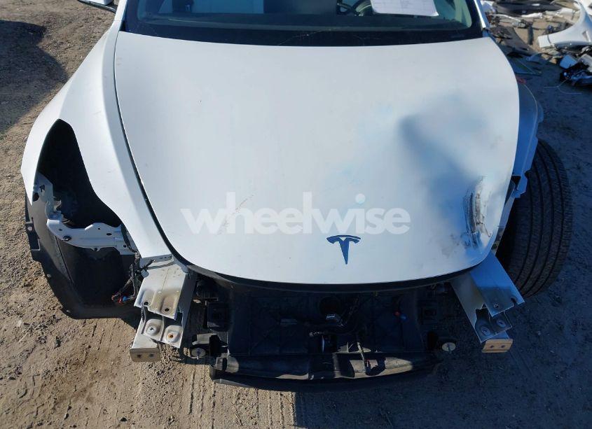 Photo 20 of 2021 Tesla Model 3 STANDARD RANGE PLUS REAR-WHEEL DRIVE (VIN 5YJ3E1EA8MF851900)