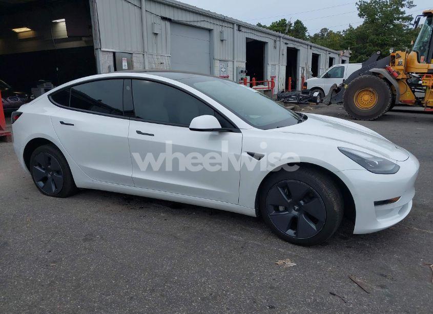 2022 Tesla Model 3 (VIN 5YJ3E1EA8NF302988) main photo