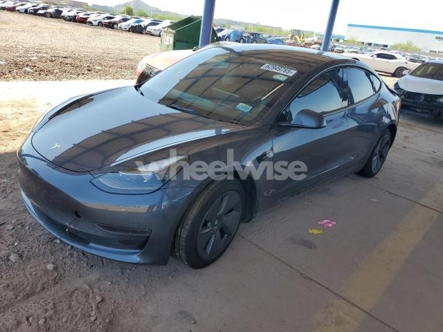2023 TESLA MODEL 3 (VIN 5YJ3E1EA8PF******) main photo