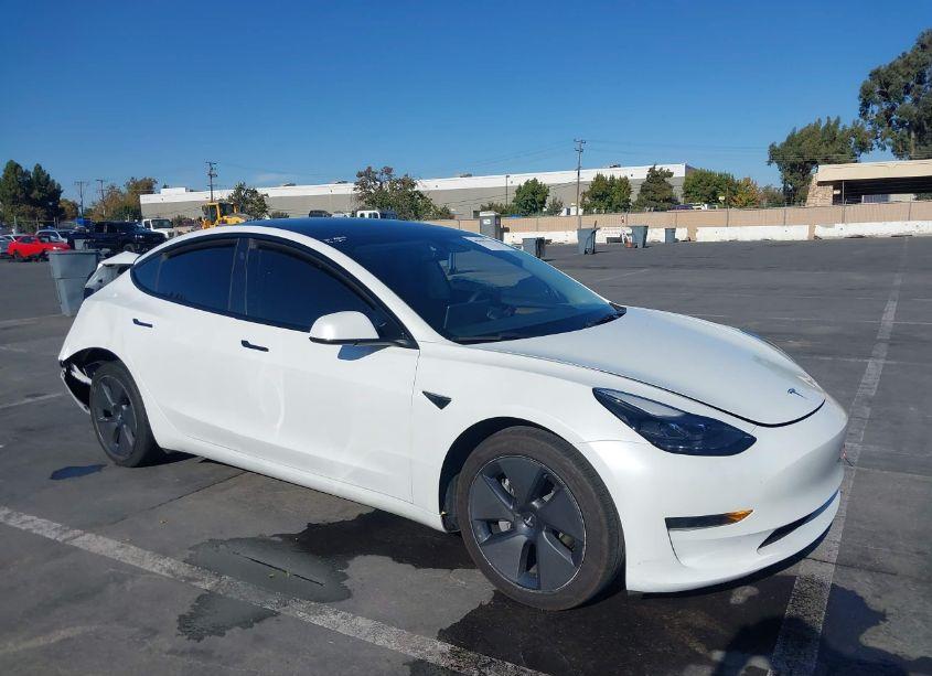2023 Tesla Model 3 REAR-WHEEL DRIVE (VIN 5YJ3E1EA8PF432255) main photo