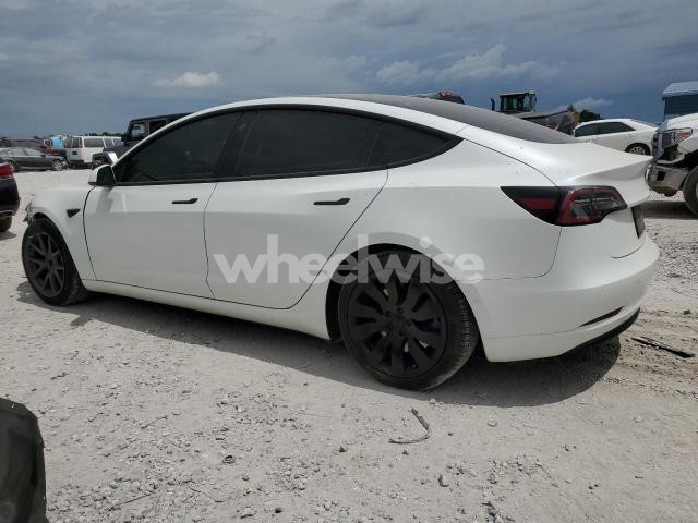 2021 TESLA MODEL 3 N/A (VIN 5YJ3E1EA9MF016775) main photo
