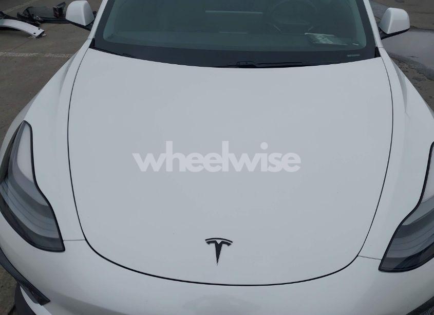 Photo 10 of 2021 Tesla Model 3 STANDARD RANGE PLUS REAR-WHEEL DRIVE (VIN 5YJ3E1EA9MF051204)