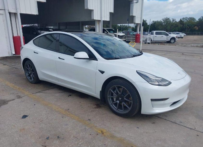 2021 Tesla Model 3 STANDARD RANGE PLUS REAR-WHEEL DRIVE (VIN 5YJ3E1EA9MF861058) main photo