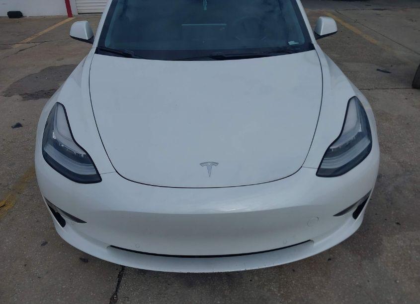 Photo 12 of 2021 Tesla Model 3 STANDARD RANGE PLUS REAR-WHEEL DRIVE (VIN 5YJ3E1EA9MF861058)