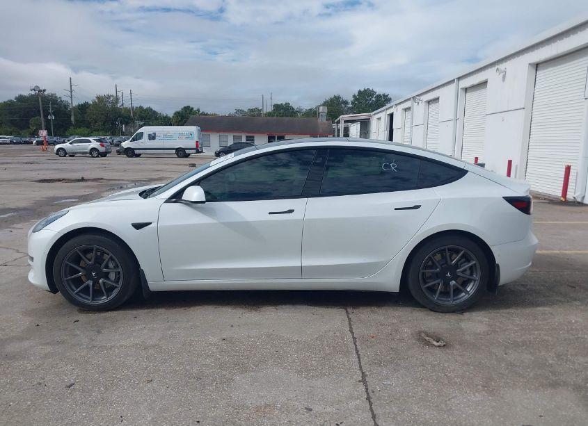 Photo 14 of 2021 Tesla Model 3 STANDARD RANGE PLUS REAR-WHEEL DRIVE (VIN 5YJ3E1EA9MF861058)