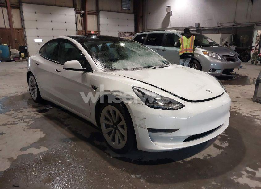 2021 Tesla Model 3 STANDARD RANGE PLUS REAR-WHEEL DRIVE (VIN 5YJ3E1EA9MF908329) main photo