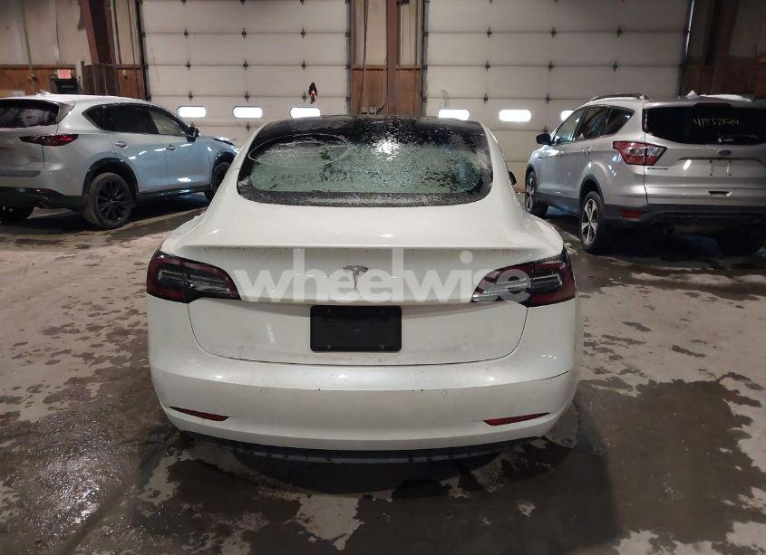 Photo 15 of 2021 Tesla Model 3 STANDARD RANGE PLUS REAR-WHEEL DRIVE (VIN 5YJ3E1EA9MF908329)