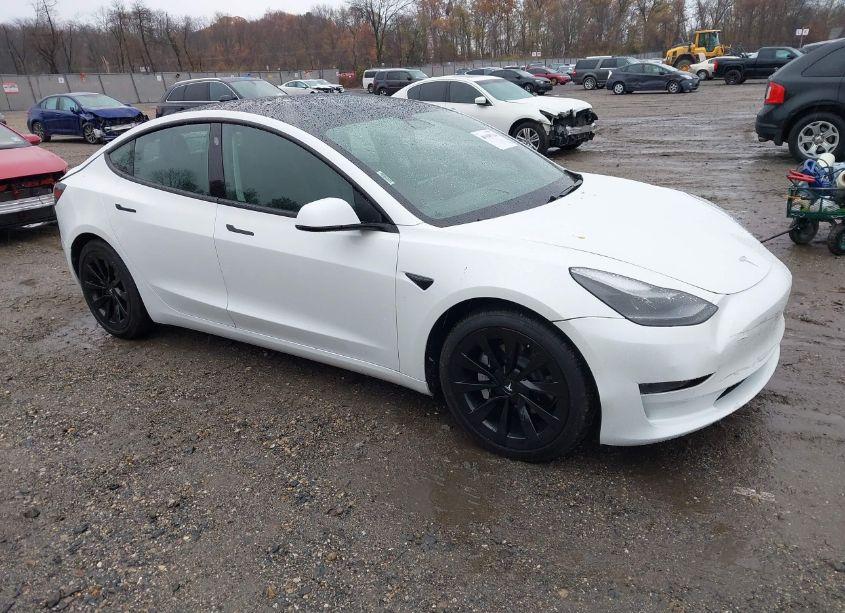 2021 Tesla Model 3 STANDARD RANGE PLUS REAR-WHEEL DRIVE (VIN 5YJ3E1EA9MF982687) main photo